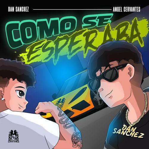Portada de Como Se Esperaba