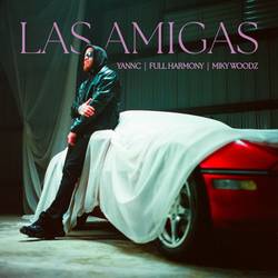 Portada de Las Amigas