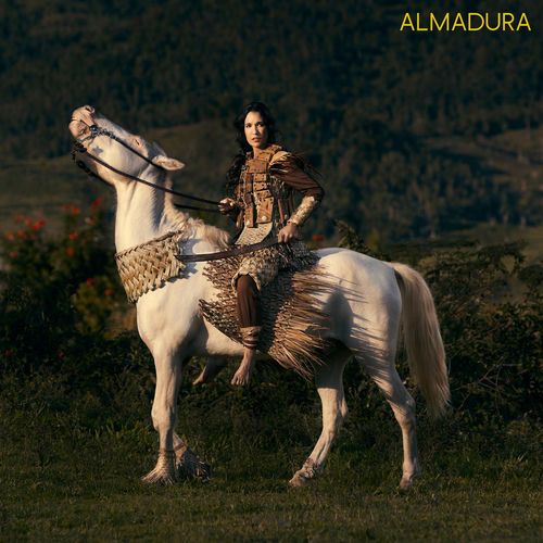 Portada de Almadura
