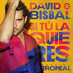 Portada de Si Tú La Quieres (Versión Tropical)