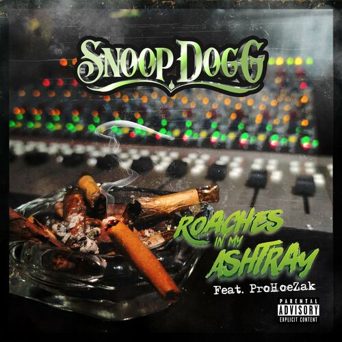 Portada de Roaches In My Ashtray (feat. ProHoeZak)