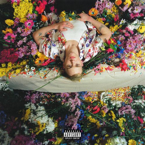 Portada de Nicotine
