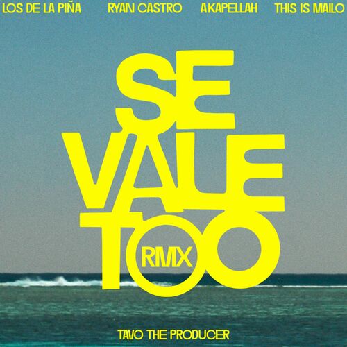 Portada de SE VALE TOO (feat. This Is Mailo, Tavo the producer) (Remix)