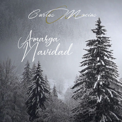 Portada de Amarga Navidad