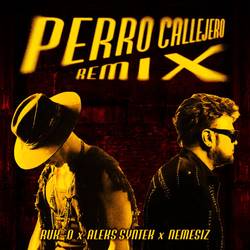 Portada de Perro Callejero (Remix)