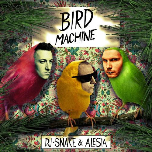 Portada de Bird Machine