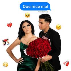 Portada de Que Hice Mal