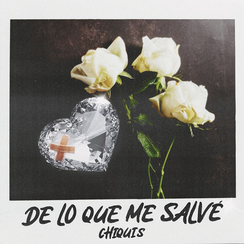 Portada de De Lo Que Me Salvé