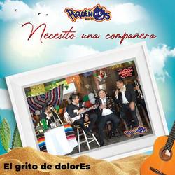 Portada de Necesito una Compañera