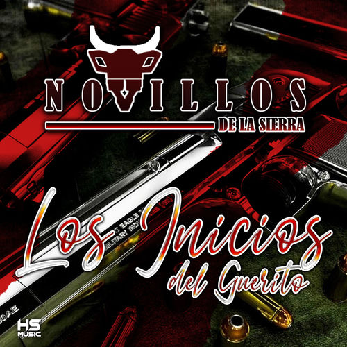 Portada de Los Inicios del Guerito