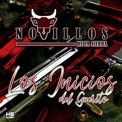 Portada de Los Inicios del Guerito