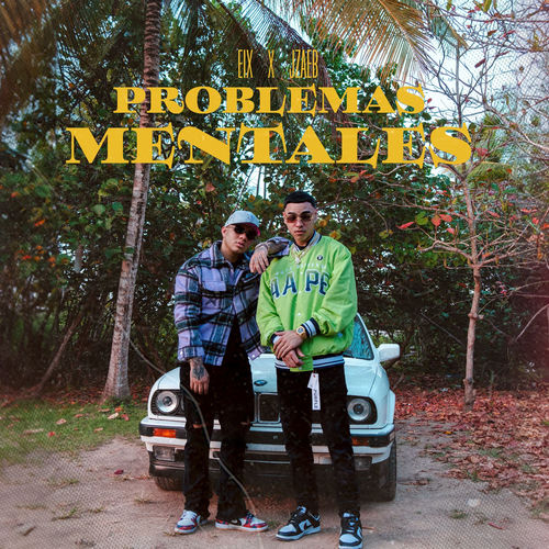 Portada de Problemas Mentales