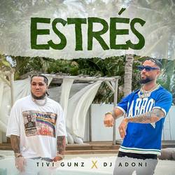 Portada de Estres