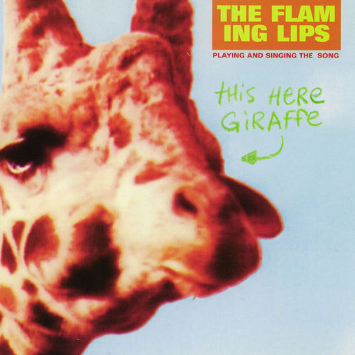 Portada de This Here Giraffe