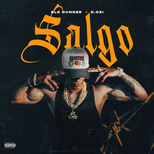 Portada de Salgo