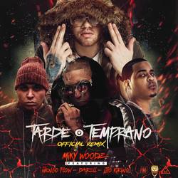 Portada de Tarde o Temprano (Remix)