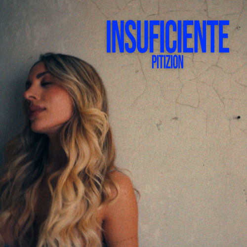 Portada de Insuficiente