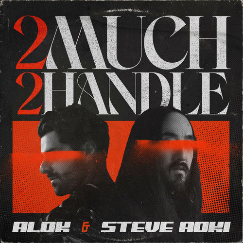 Portada de 2 Much 2 Handle