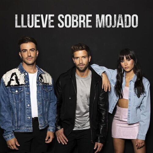 Portada de Llueve sobre mojado