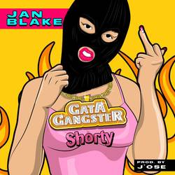 Portada de Gata Gangster