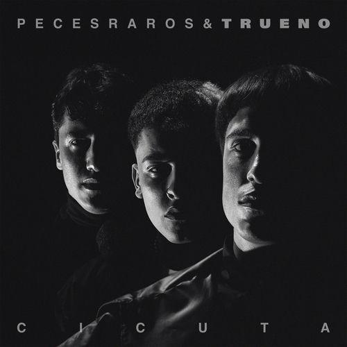 Portada de Cicuta (Remix)