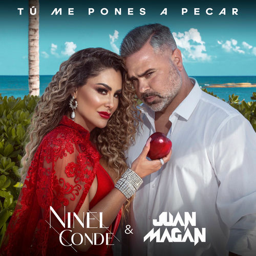 Portada de Tú Me Pones a Pecar