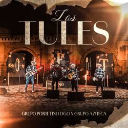 Portada de Los Tules