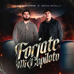 Portada de Forjate Mi Copiloto