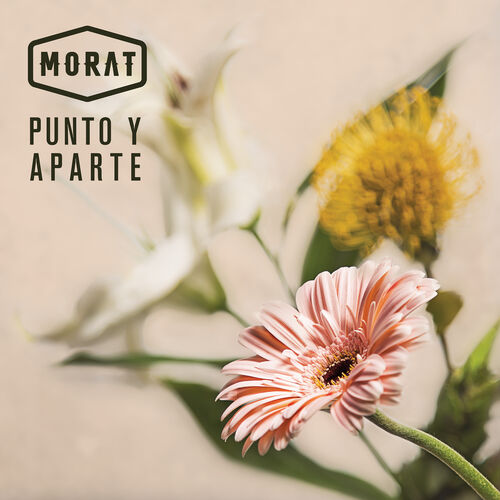 Portada de Punto Y Aparte