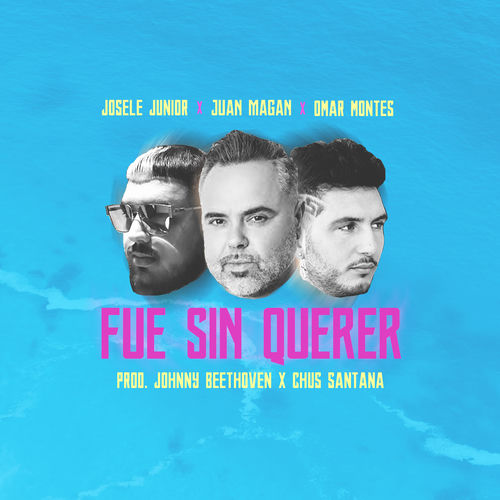 Portada de Fue Sin Querer