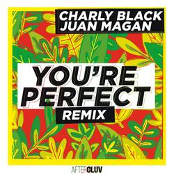 Portada de You're Perfect (Remix)