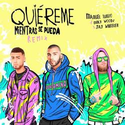 Portada de Quiereme Mientras se Pueda (Remix)