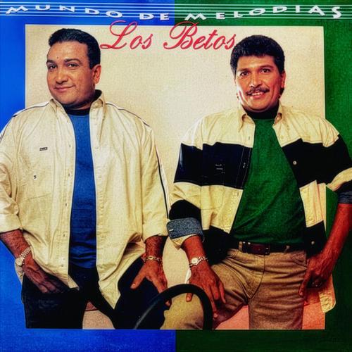 Portada de Si Usted La Viera