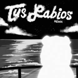 Portada de Tus Labios (Remix)