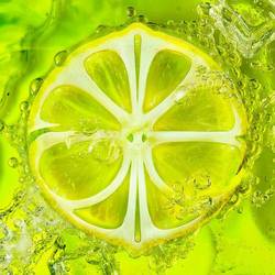 Portada de LEMONADE - The 2nd Album