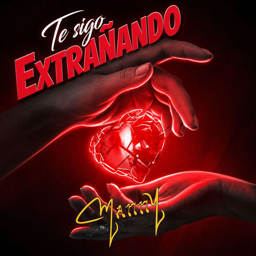 Portada de Te Sigo Extrañando