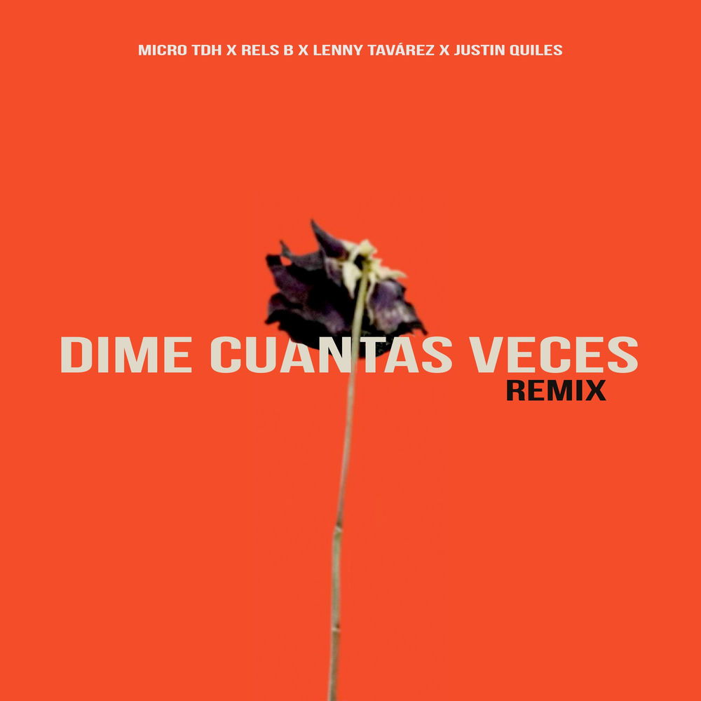 Portada de Dime Cuantas Veces (Remix)
