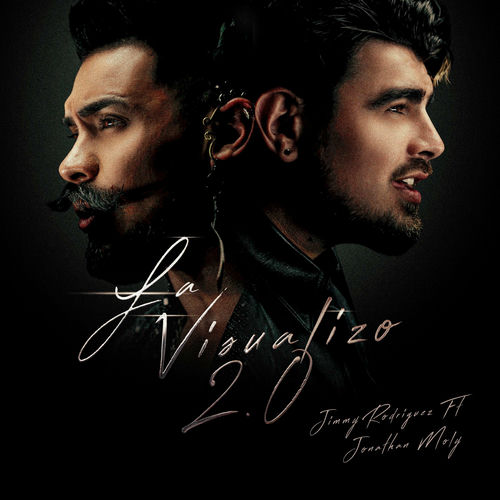 Portada de La Visualizo 2.0 (Remix)