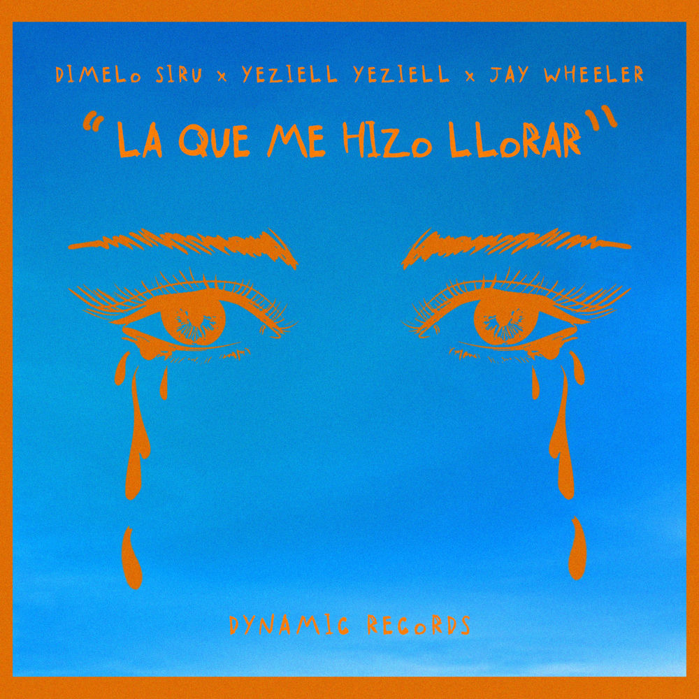 Portada de LA QUE ME HIZO LLORAR
