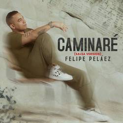 Portada de Caminaré (Salsa Versión)