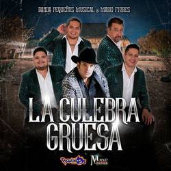 Portada de La Culebra Gruesa