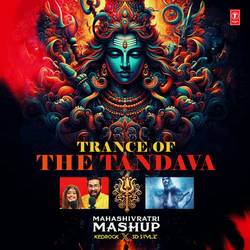 Portada de Trance Of The Tandava - Mahashivratri Mashup