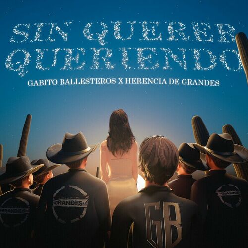 Portada de Sin Querer Queriendo