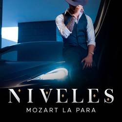 Portada de NIVELES
