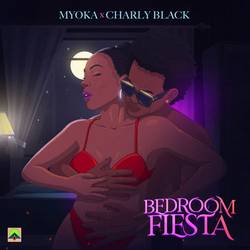 Portada de Bedroom Fiesta