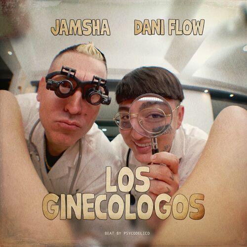 Portada de Los Ginecologos