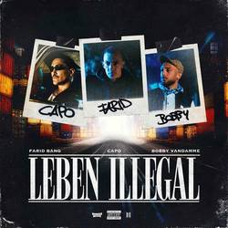 Portada de LEBEN ILLEGAL