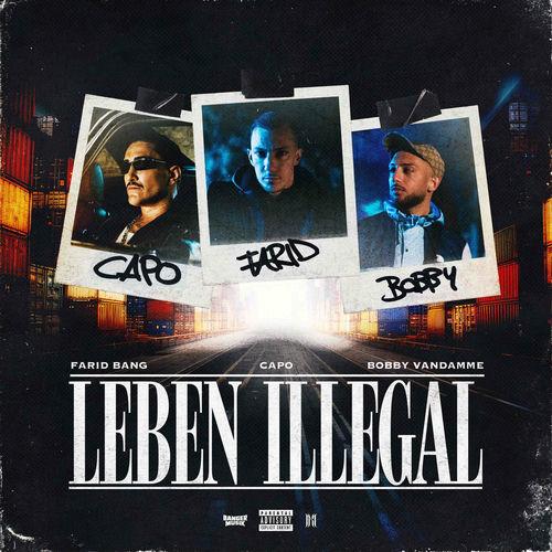 Portada de LEBEN ILLEGAL