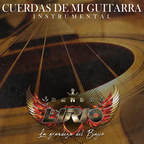 Portada de Cuerdas de Mi Guitarra (Instrumental)