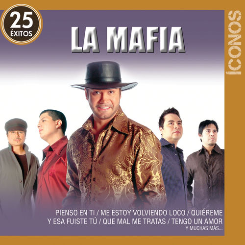Portada de Íconos 25 Éxitos